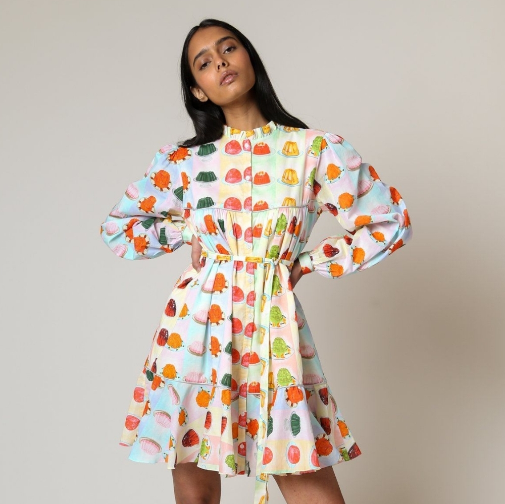 ISO Rachel Antonoff Jello Print Dress or Skirt